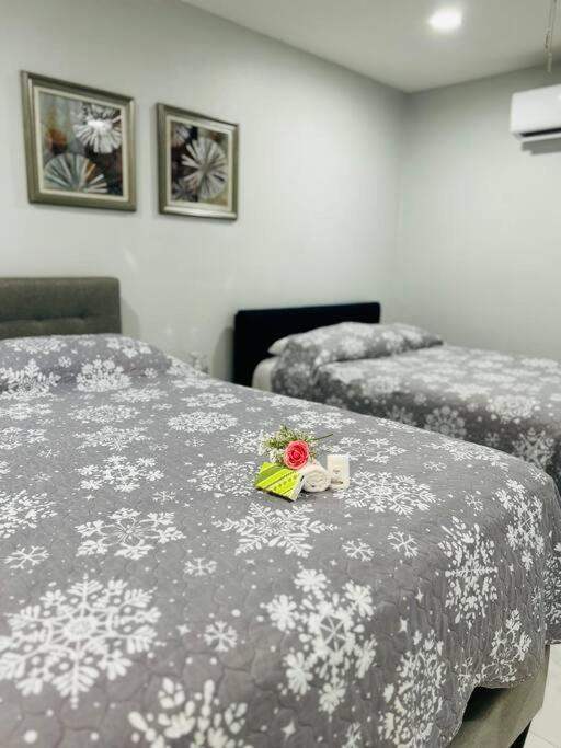 Grey Novo Studio + Free-Parking&Wifi Tampa Exteriör bild