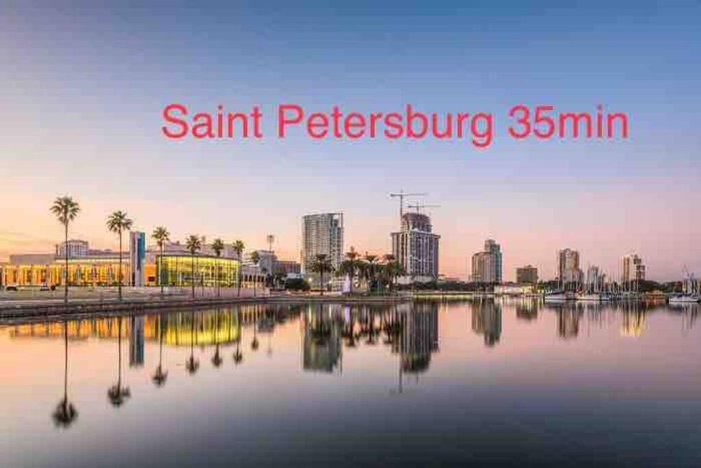 Grey Novo Studio + Free-Parking&Wifi Tampa Exteriör bild