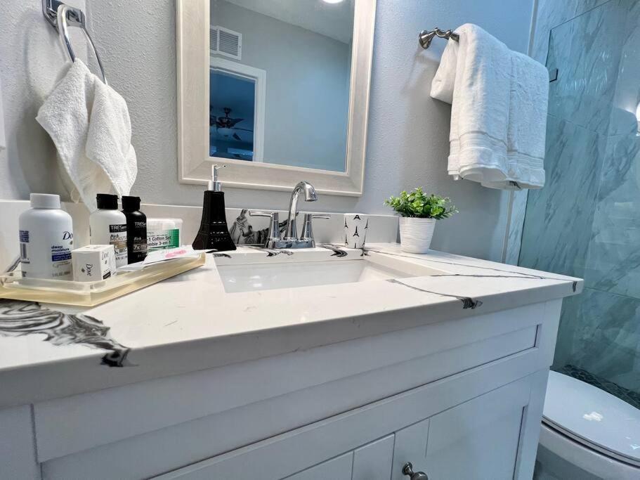 Grey Novo Studio + Free-Parking&Wifi Tampa Exteriör bild